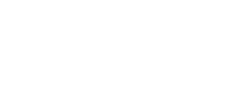 MacroSurfer Logo